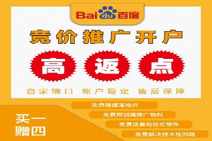 百度SEM竞价推广，案例解析转化率提升秘诀